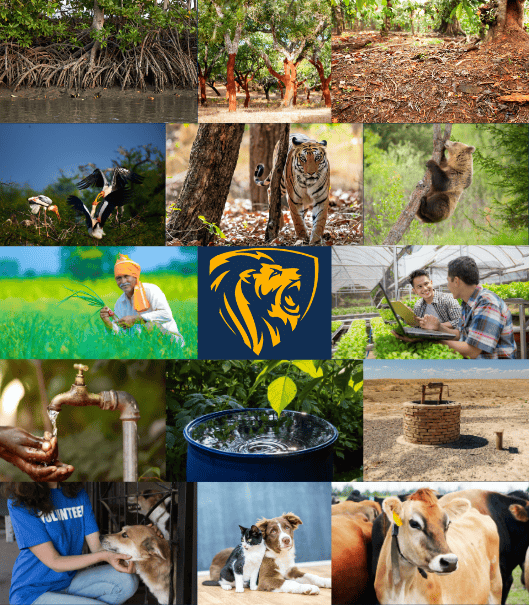 About Rurgam Foundation